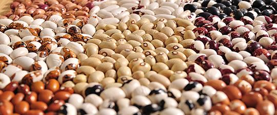 Sarconi Beans PGI - Sarconi | Secret World Trip Planner