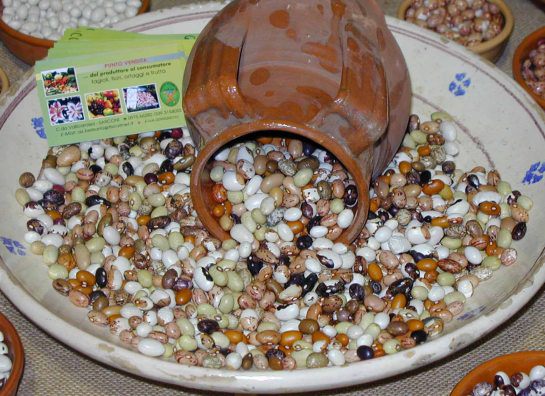 Sarconi Beans PGI - Sarconi | Secret World Trip Planner