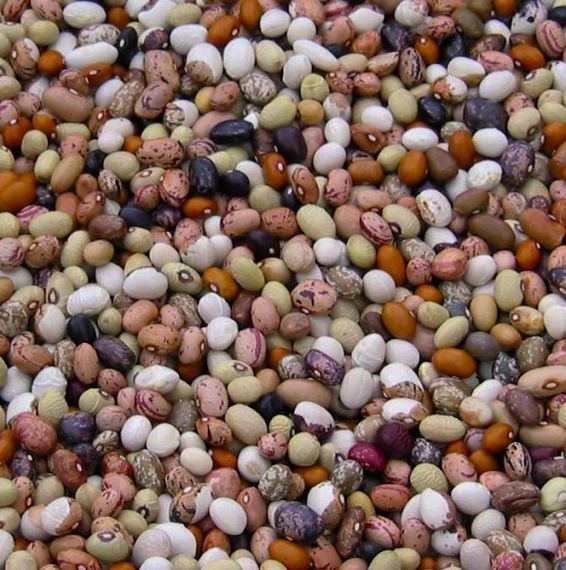 Sarconi Beans PGI - Sarconi | Secret World Trip Planner