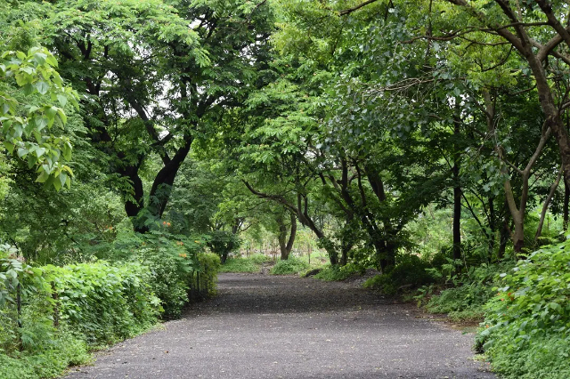 Maharashtra Nature Park - Mumbai | Secret World Trip Planner