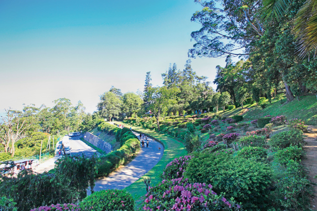 Hakgala Botanic Gardens — Distretto di Nuwara Eliya