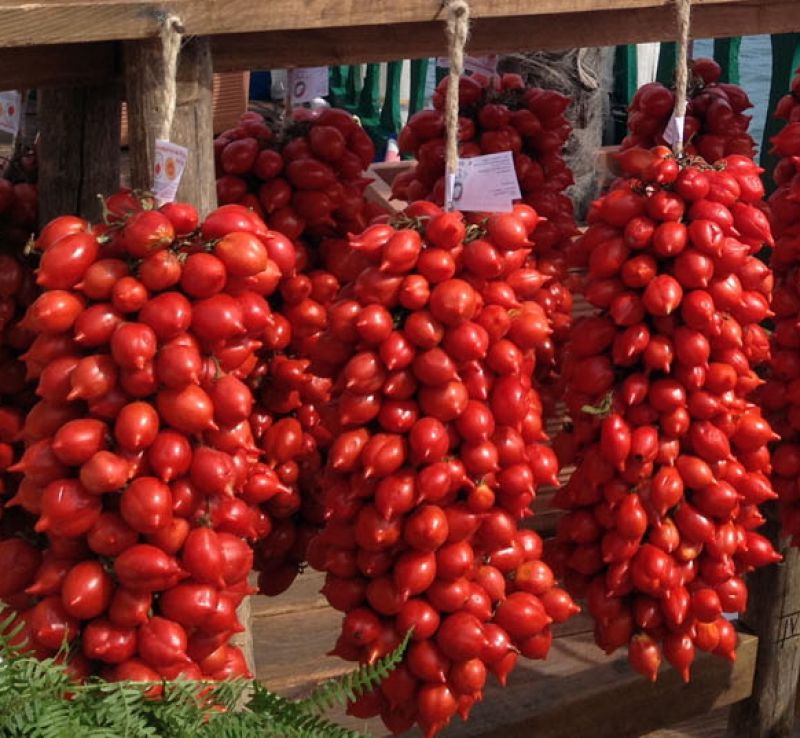 Vesuv Piennolo-Tomaten - Somma Vesuviana | Secret World Trip Planner