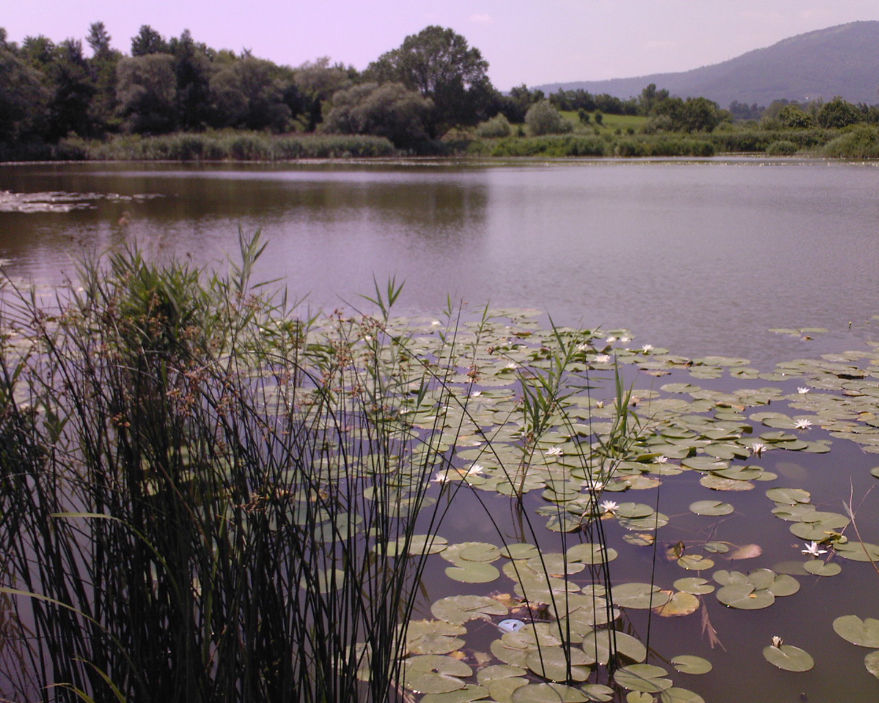 Turbeiras de Sebino - Iseo | Secret World Trip Planner
