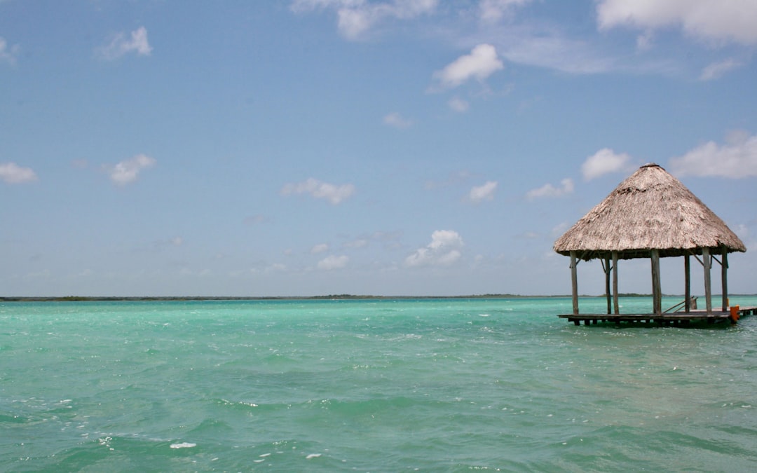 Cabillaud de lagune - Laguna di Bacalar | Secret World Trip Planner