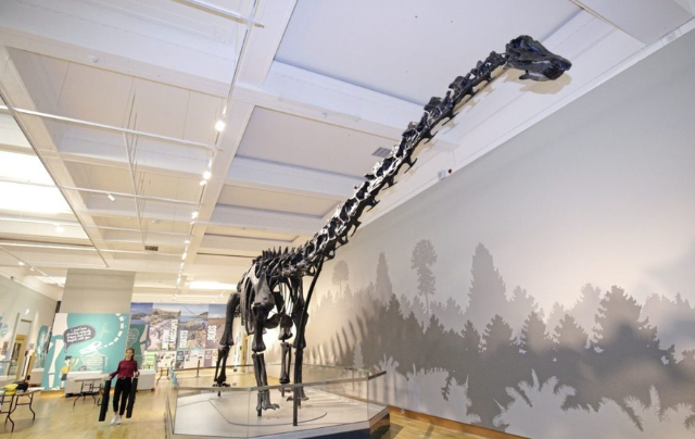 Ulster Museum — Botanic Gardens