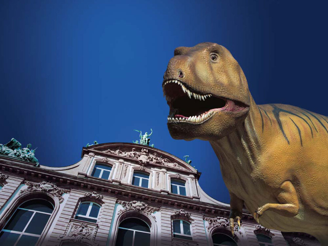 Museo di Storia Naturale - Frankfurt am Main | Secret World Trip Planner