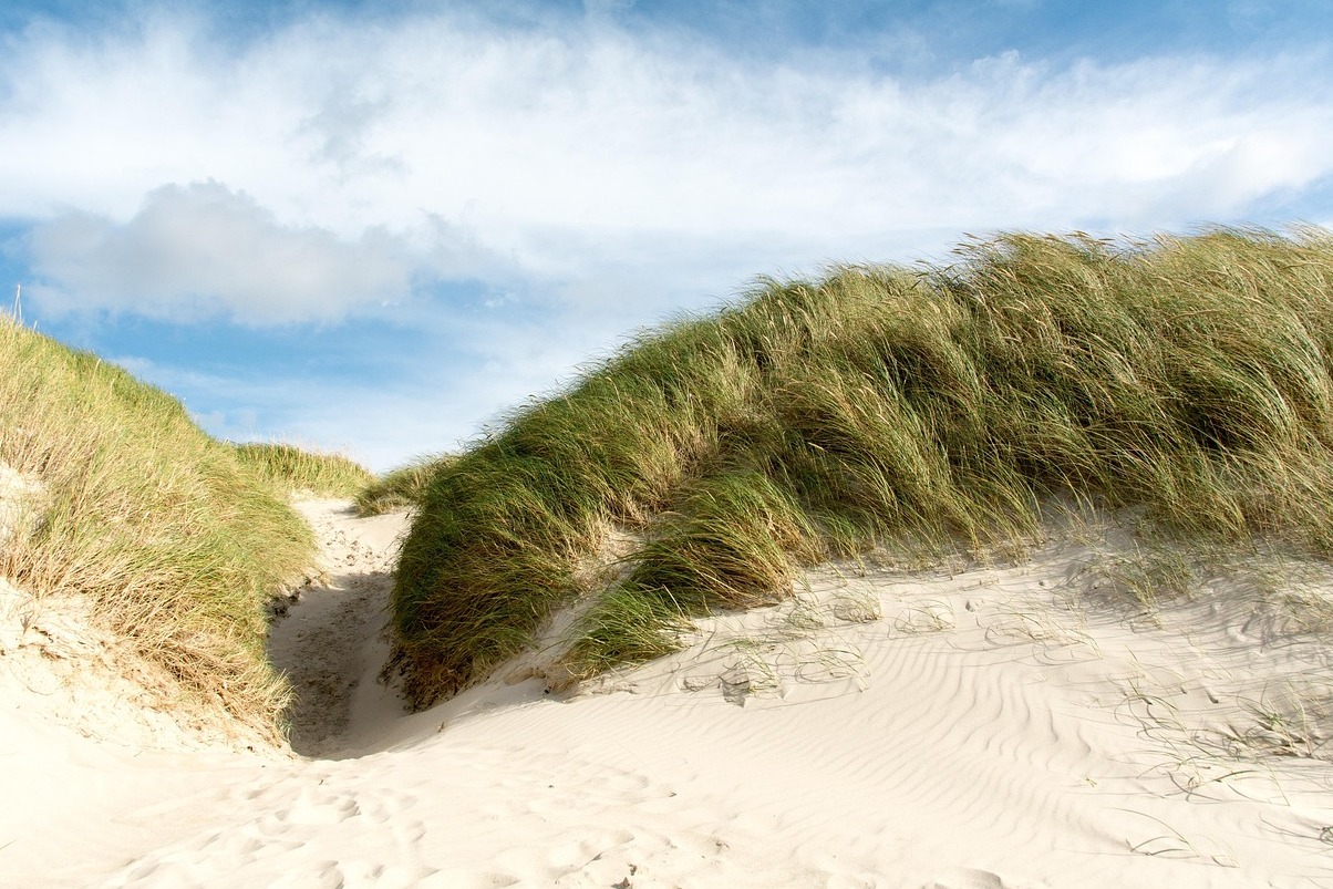 PortStewart Strand - Portstewart Strand | Secret World Trip Planner