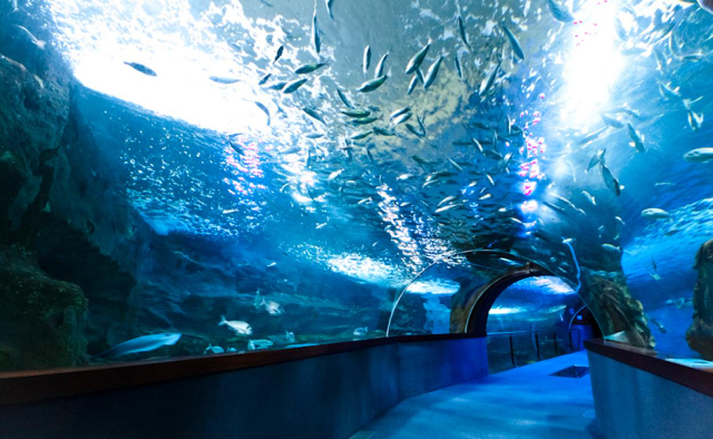Aquarium de Saint-Sébastien - Donostia | Secret World Trip Planner
