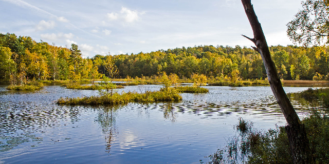 Änggårdsbergen nature reserve - Mölndal | Secret World Trip Planner