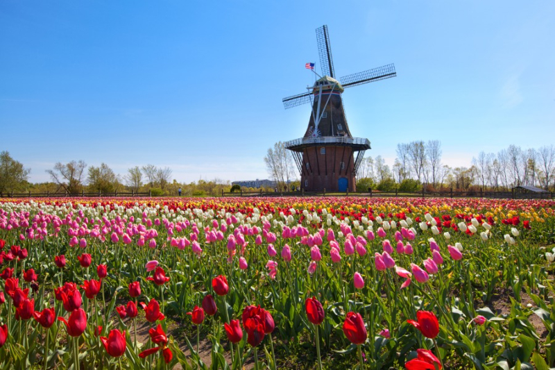 Tulpenfest - Holland | Secret World Trip Planner