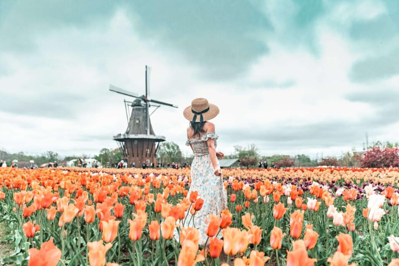 Tulpenfest - Holland | Secret World Trip Planner