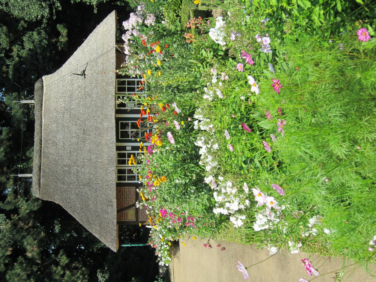 Jardins Botânicos de Hamburgo - Hamburg | Secret World Trip Planner