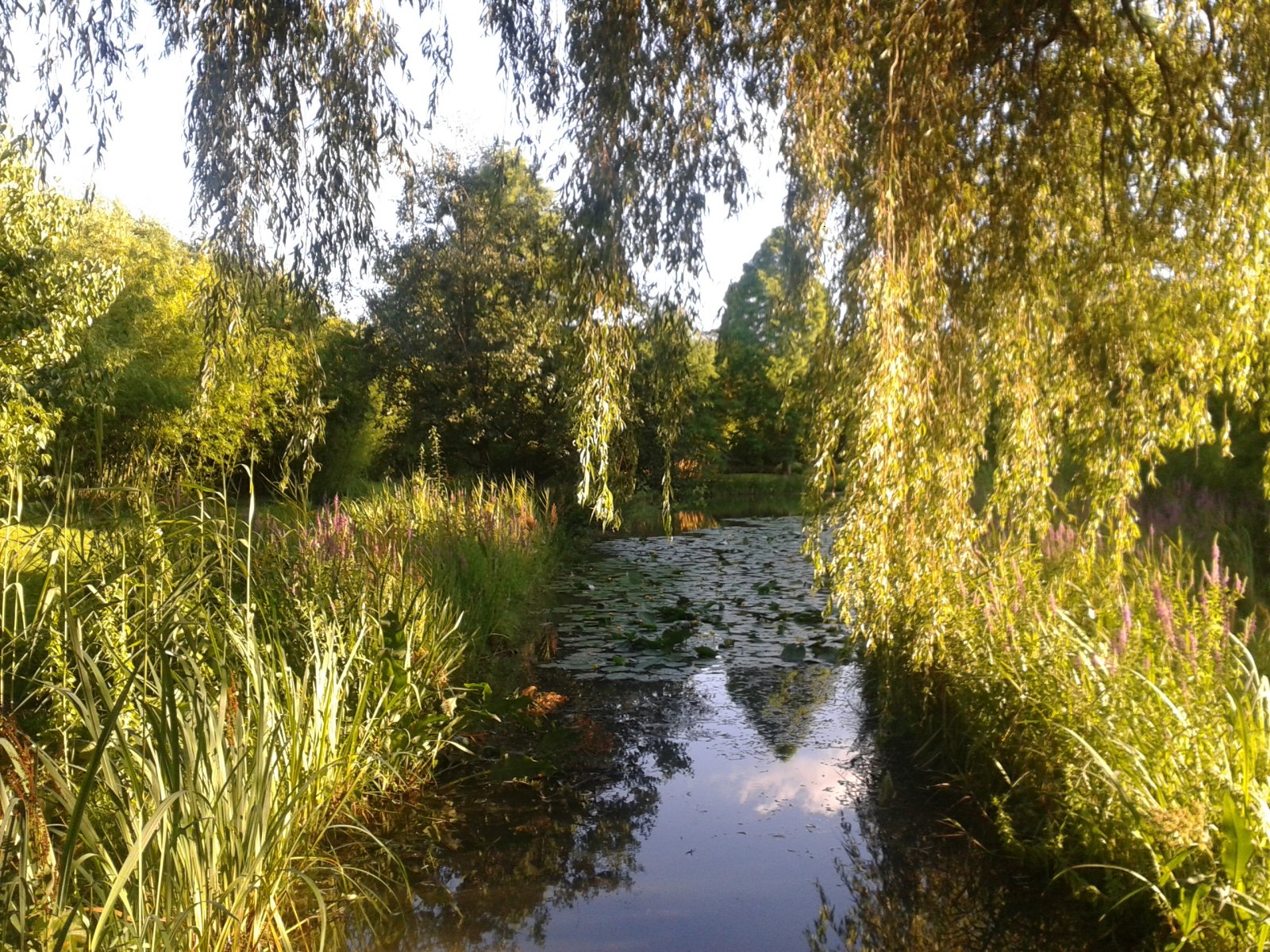 Jardins Botânicos de Hamburgo - Hamburg | Secret World Trip Planner