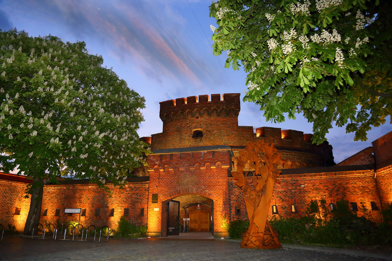 Museo dell’Ambra - Kaliningrad | Secret World Trip Planner