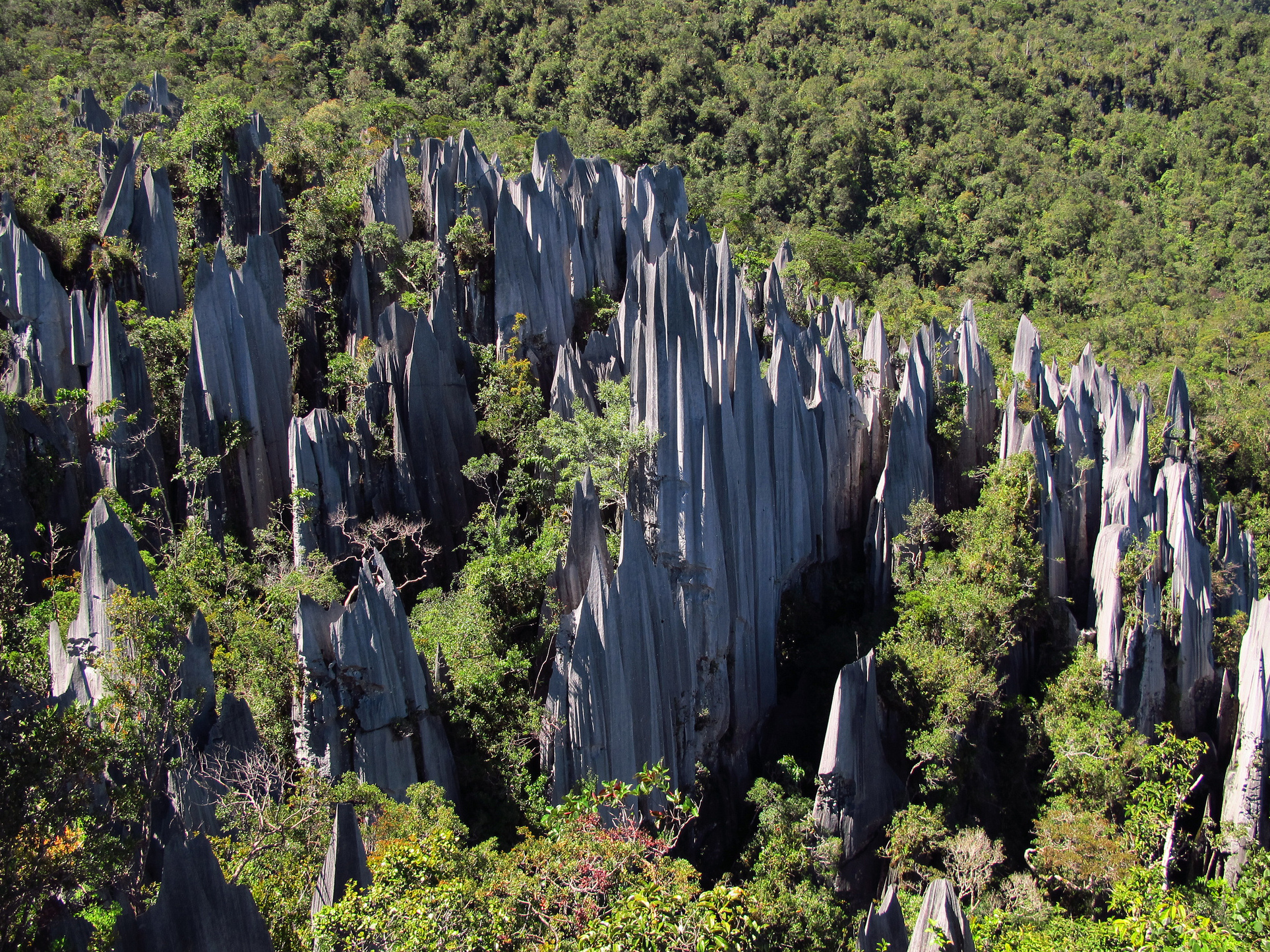 Gunung Mulu National Park in Borneo — Sarawak