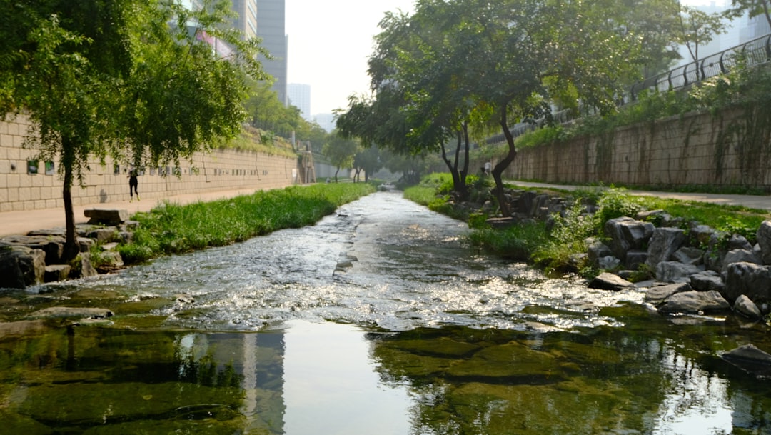 Seoul: Cheonggyecheon Stream - Jung-gu | Secret World Trip Planner