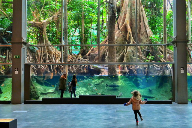 CosmoCaixa Museum - Barcelona | Secret World Trip Planner