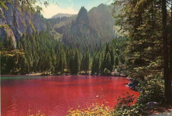 אגם טובל - Lago di Tovel | Secret World Trip Planner