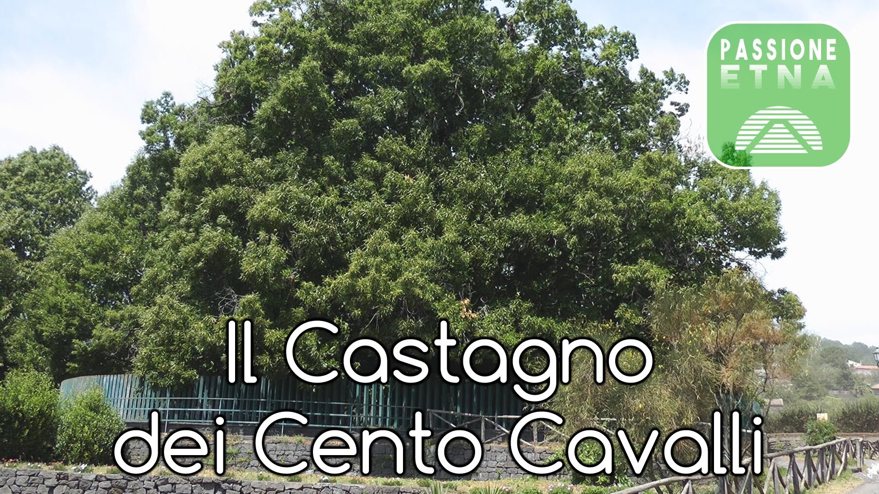 La Châtaigne Cent Chevaux La Châtaigne est l'une des plus grandes au monde — Via Castagno 100 Cavalli