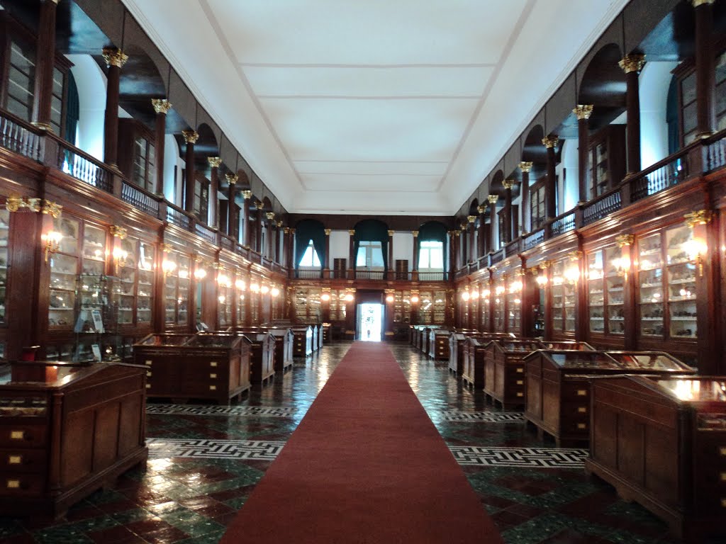 Pravi Museo Mineralogico - Via Mezzocannone | Secret World Trip Planner