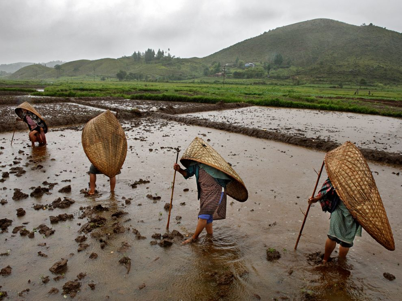 Il luogo più umido della Terra: Mawsynram - Mawsynram | Secret World Trip Planner