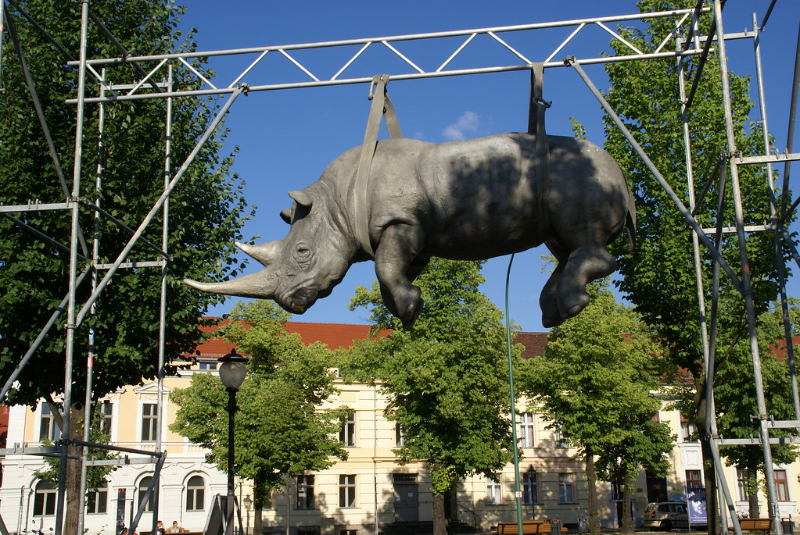Hanging Rhino - Potsdam | Secret World Trip Planner