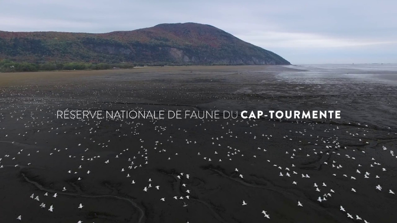 Cap Tourmente National Wildlife Area - Saint-Joachim | Secret World Trip Planner