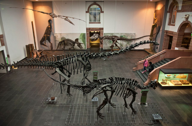 Natural History Museum - Frankfurt am Main | Secret World Trip Planner