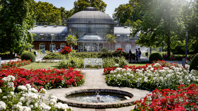 The Palmengarten - Frankfurt am Main | Secret World Trip Planner