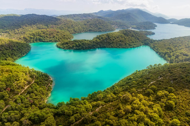 The Timeless Art of Hunting A Journey into Nature's Heart in Croatia - 23445 | Secret World Trip Planner