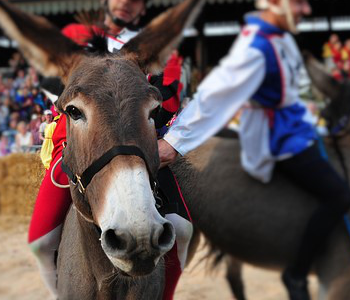 The Tonna race in Civita Bagnoregio - Civita | Secret World Trip Planner