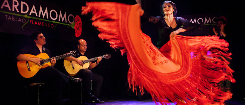 Flamenco a Granada - Granada | Secret World Trip Planner