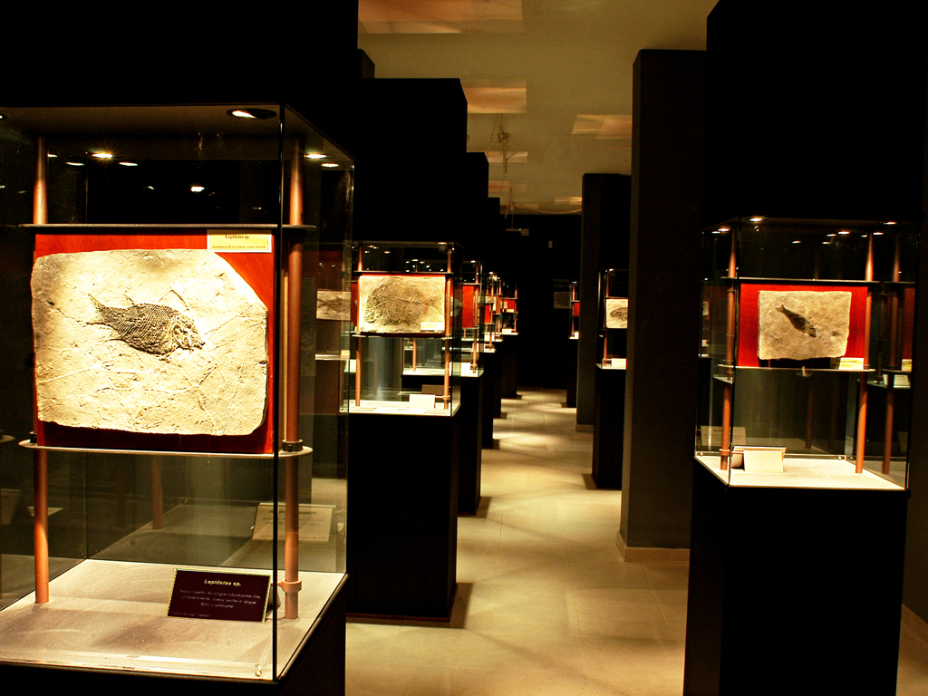 อุทยานธรณีบรรพชีวินวิทยา Paleolab - Pietraroja | Secret World Trip Planner