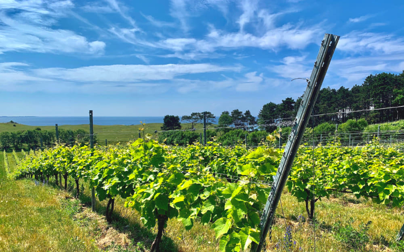 Røsnæs, und der Dänische Wein - Kalundborg | Secret World Trip Planner