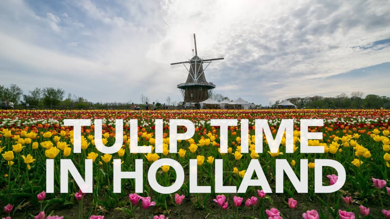 Tulip Festival - Holland | Secret World Trip Planner