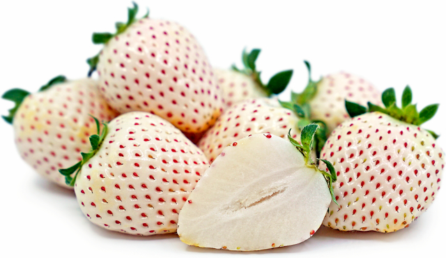 The Chilean white strawberry - Contulmo | Secret World Trip Planner