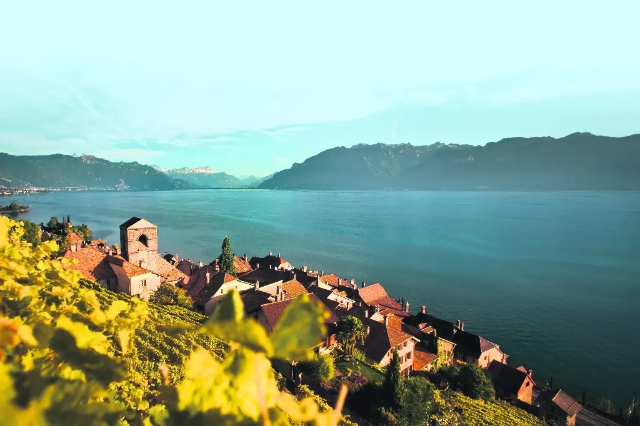 Lavaux, oidhreacht UNESCO fíonghoirt na hEilvéise. - Distretto di Lavaux-Oron | Secret World Trip Planner