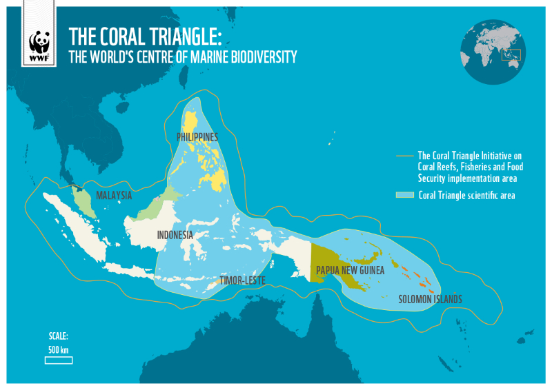 The Coral Triangle | Secret World Trip Planner