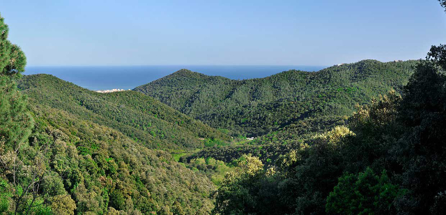 Parc del Montnegre - Dosrius | Secret World Trip Planner