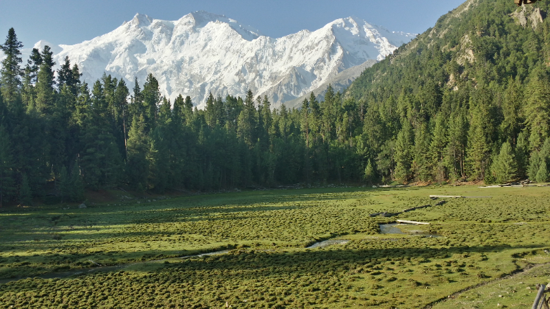 Fairy Meadows National Park, Pakistan - Fairy Meadows | Secret World Trip Planner