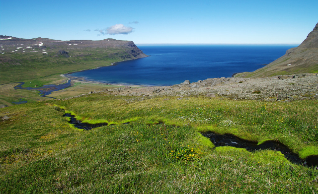 Hornstrandir Naturreservat - Ísafjörður | Secret World Trip Planner