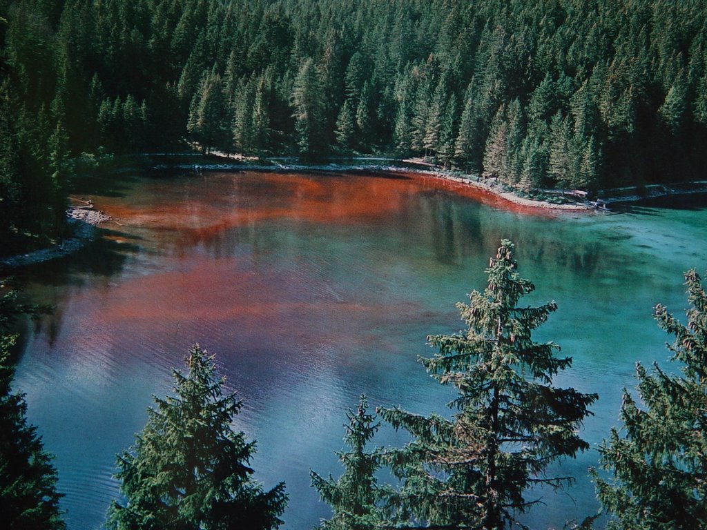Lago di Tovel - Lago di Tovel | Secret World Trip Planner