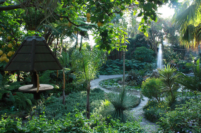 Ischia e i giardini La mortella - Forio | Secret World Trip Planner