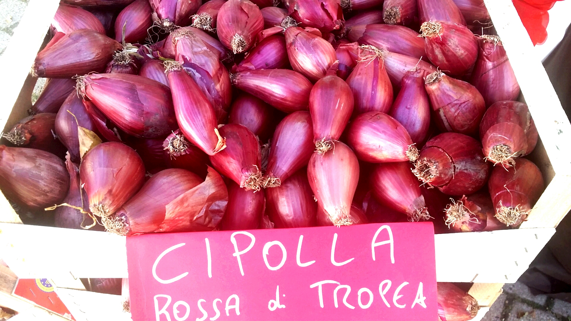 Cipolle rosse di Tropea - Tropea | Secret World Trip Planner