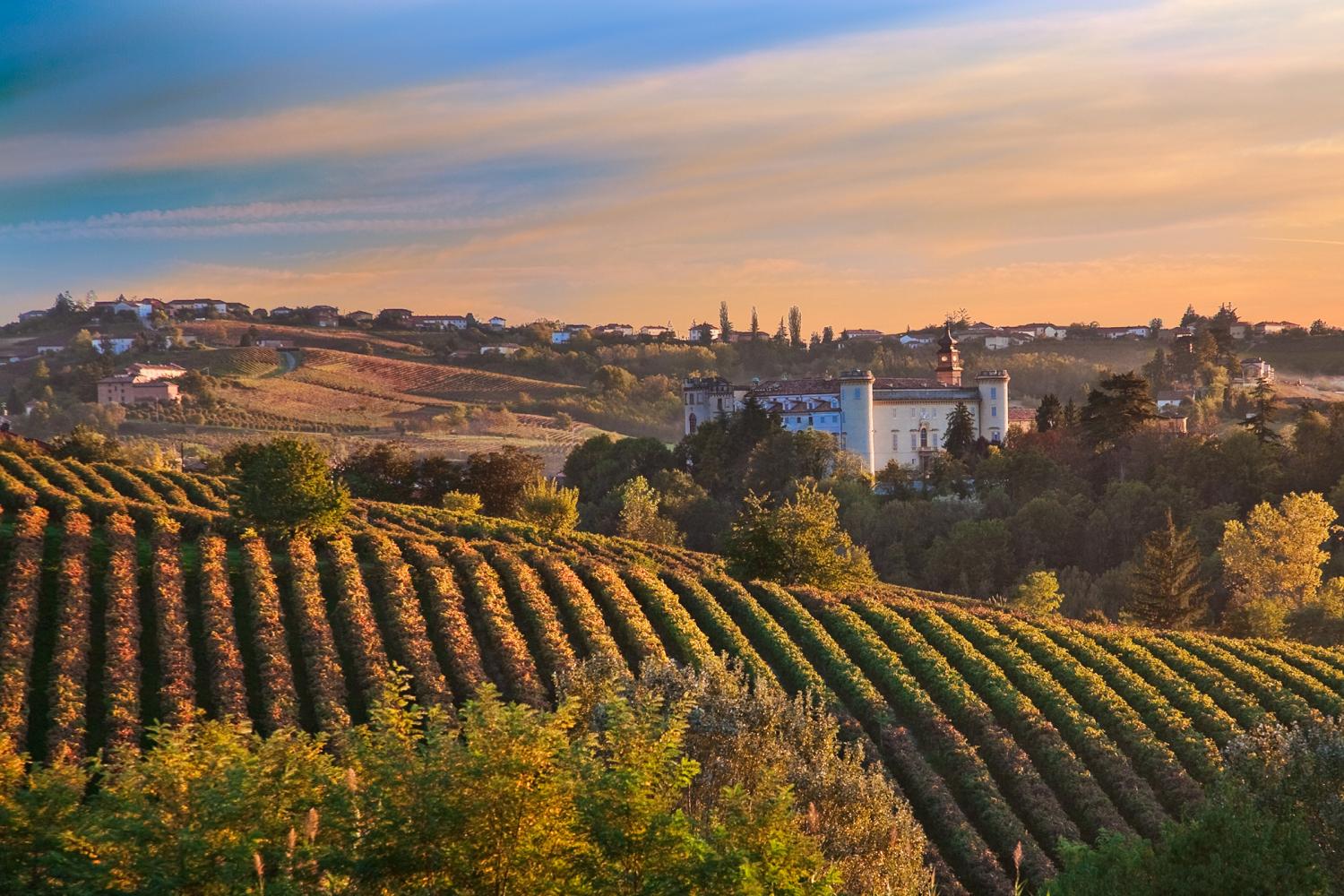 Barolo ed il suo vino - Barolo | Secret World Trip Planner