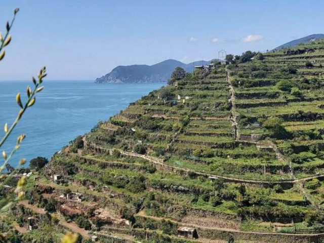 Le Cinque Terre, e la grande Muraglia cinese - Vernazza | Secret World Trip Planner