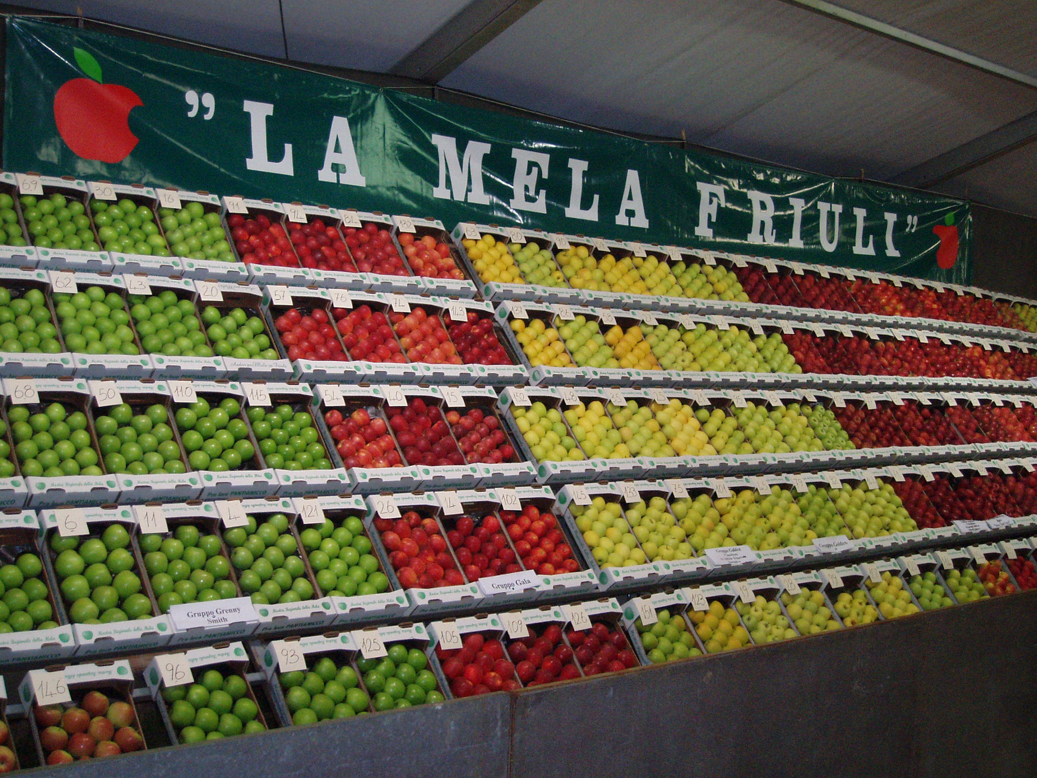 Mela del Friuli Venezia Giulia DOP - Spilimbergo | Secret World Trip Planner