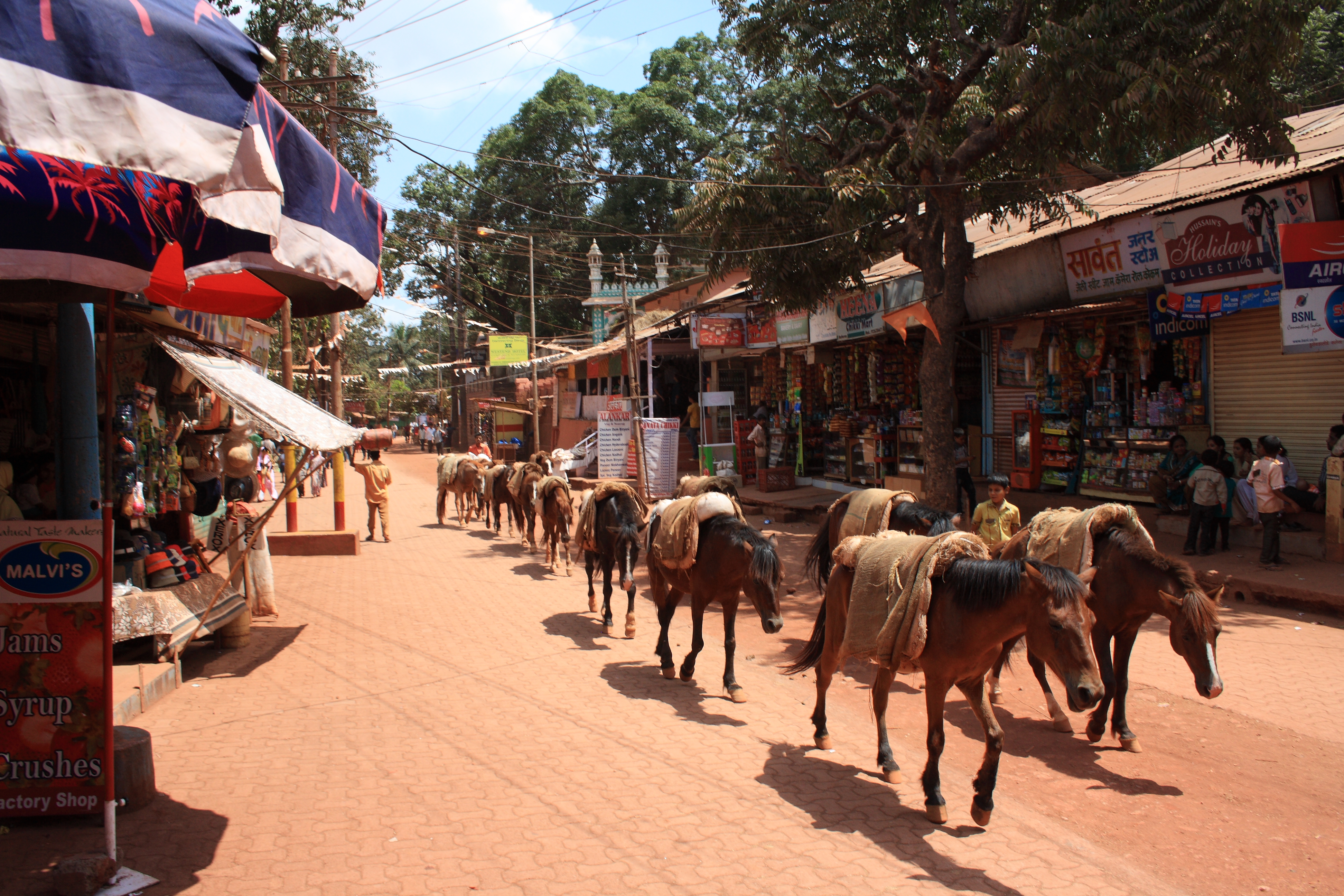 Matheran est la plus petite station de montagne de l'Inde - Matheran | Secret World Trip Planner