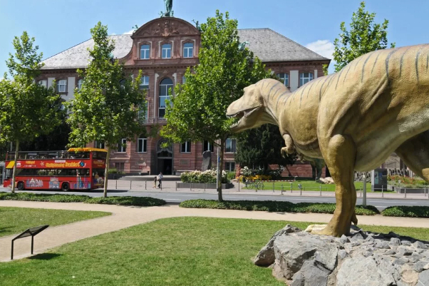 Musée d'histoire naturelle de Senckenberg — Frankfurt am Main
