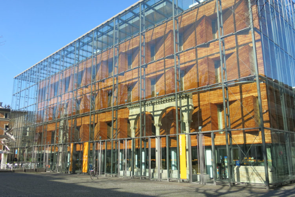 Musée régional rhénan de Bonn — Bonn